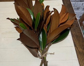 magnolia branches fresh cut to order home decor wedding arrangements center peices garland