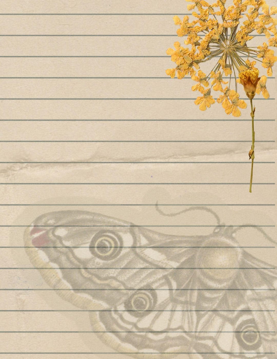 Journaling Stationery Digital Download! Images of Vintage Paper ...