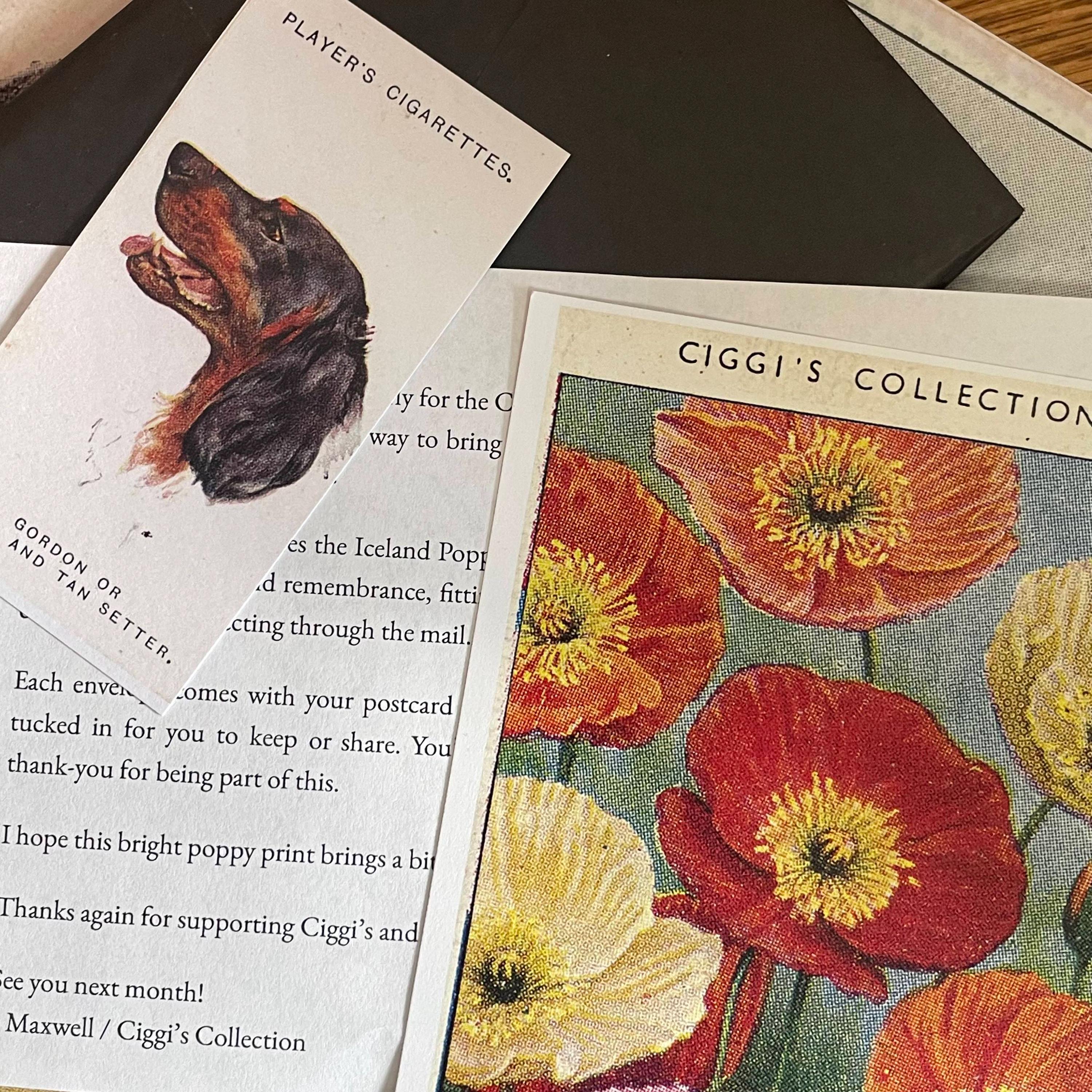 cigarettes through the mail How contraband shipped by is detected. #OnTheRedDot goes behind scenes at SingPost Centre #cnainsider #fyp #vape #smoke #cigarettes #edutok #mail #learningisfun Vintage-inspired Art Postcard - Collectible