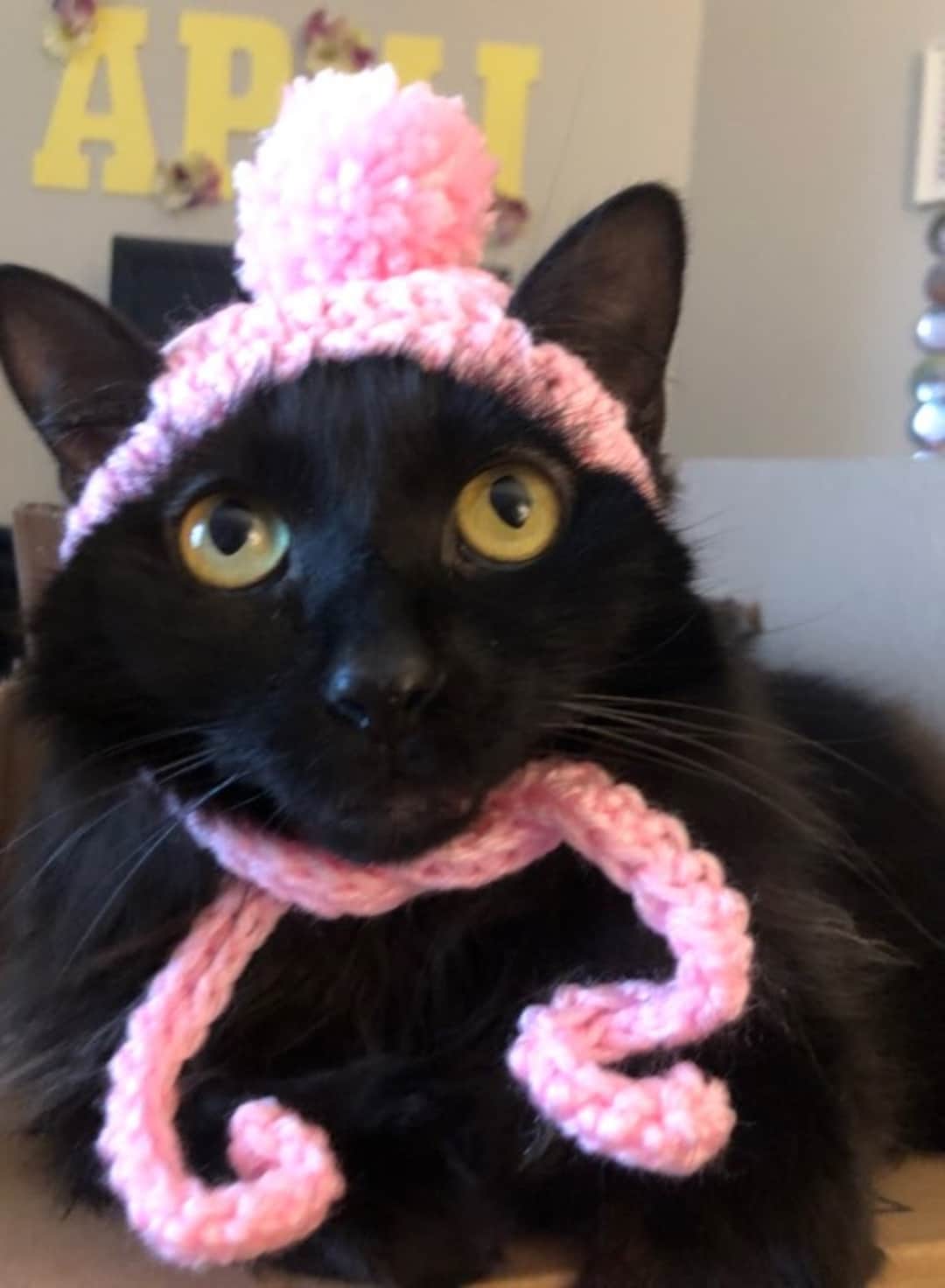 Crocheted Dog Hat, Small, Medium, Large, Crochet Dog Hat With Pom Pom