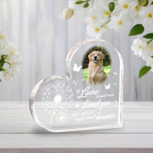Pet Memorial Heart Acrylic Plaque Dog Loss Sympathy Gift &quot;If Love Could Have Saved You&quot; Pet Remembrance Custom Photo Pet Keepsake Decor