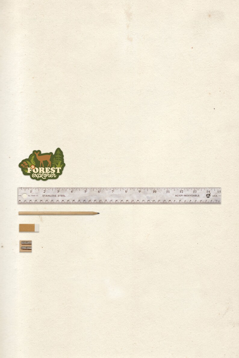 May include: A green and brown sticker with a deer and trees, and the text "FOREST explorer". A silver ruler with black markings, a wooden pencil, and two pencil sharpeners are on a white background.