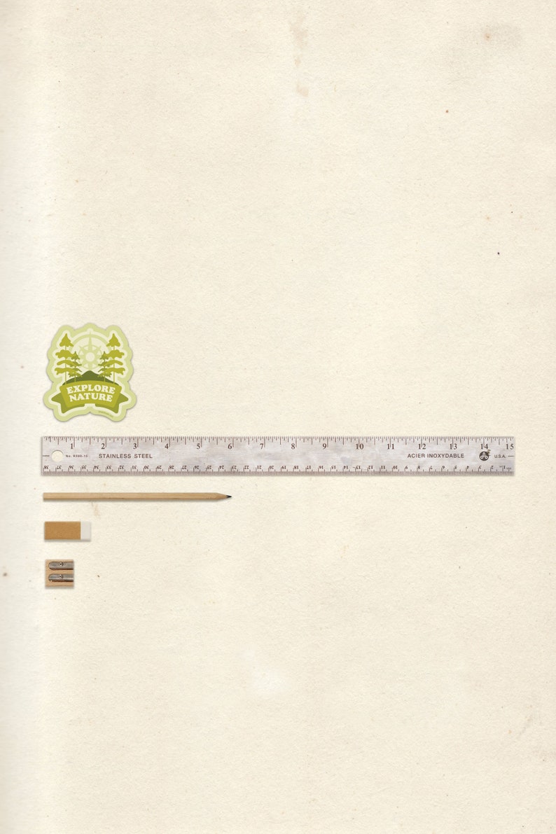 May include: A white ruler with black markings, a wooden pencil, and two pencil sharpeners on a beige background. The ruler is labeled "Stainless Steel" and "Acier Inoxydable". The ruler is 15 inches long.