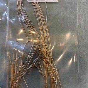 May include: A bundle of thin, metallic gold-colored French wire or gimp thread contained within a clear plastic bag. A white rectangular label is attached to the top of the bundle, featuring the text French Wire/Salt Pale Gold and a barcode.