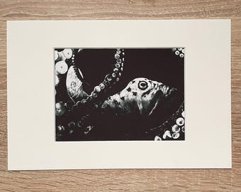 Tirage d'art Pieuvre, 15 x 20 cm (DIN A5) avec frais de port et passe-partout pour cadre 20 x 30 cm