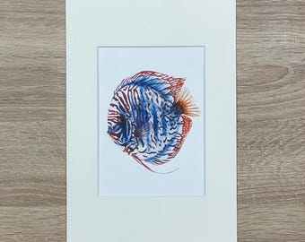 Tirage d'art Discus Fish, DIN A5, livraison et passe-partout inclus pour cadre 20 x 30 cm