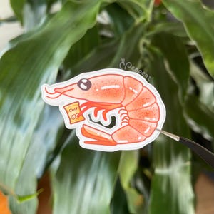 May include: A sticker of a cartoon shrimp, coloured reddish-orange, holding a small bag of chips. The chip bag is yellow with the word "CHIP" printed on it. The sticker is being held by tweezers. The background is a green leafy plant.