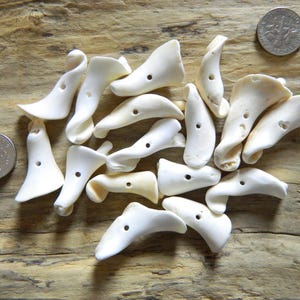 May include: A collection of off-white, bone-shaped beads with small holes, scattered on a wooden surface. A coin is included for size reference. The beads vary in shape, some curved and others more angular.