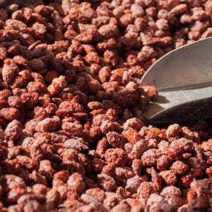 Gourmet Pecan (16 oz) - Candied, Spiced Candied, Honey Roasted, and Buttery Pecans - Perfect for Holidays, Birthdays, and Special Occasions