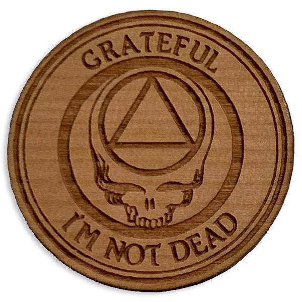 AA "Grateful I'm Not Dead" Token, Alcoholics Anonymous Stealie Recovery Coin, Unique 12 Step Gifts, AA Sobriety Anniversary Gift