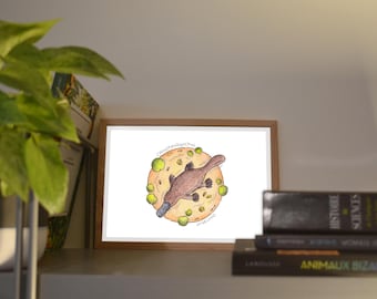 Print A6/A5 Platypus, illustration made in colors with watercolor and ink, traditional art