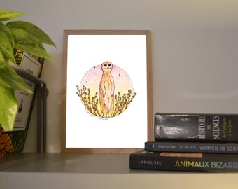 Print A6/A5 Meerkat, illustration made in colors with watercolor and ink, traditional art
