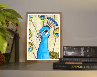 Print A6/A5 Peacock, illustration made in colors with watercolor and ink, traditional art