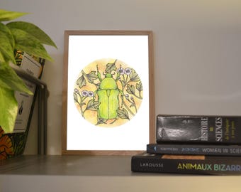 Print A6/A5 Golden Cetonia, illustration made in colors with watercolor and ink, traditional art