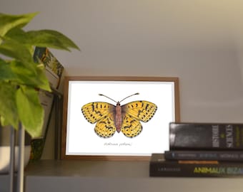 Print A6/A5 Polar Pearlescent, illustration made in colors with watercolor and ink, traditional art