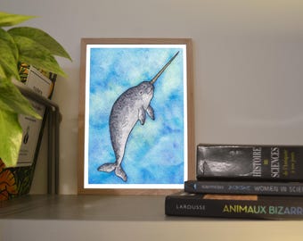 Print A6/A5 Narwhal, illustration made in colors with watercolor and ink, traditional art