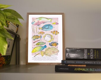 A6/A5 print of reef fish, illustration created in watercolor and ink, traditional art
