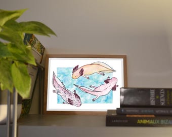 Print A6/A5 Axolotls, illustration done in colors with watercolor and ink, traditional art