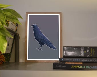 Print A6/A5 Raven, illustration created in color using a graphics tablet