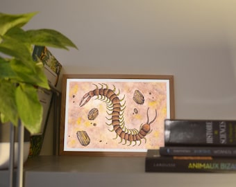Print A6/A5 Mediterranean centipede, illustration made in colors with watercolor and ink, traditional art
