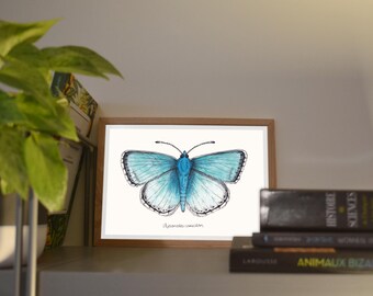 Print A6/A5 Argus pearly blue, illustration made in colors with watercolor and ink, traditional art
