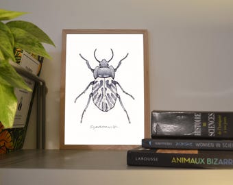 Print A6/A5 Gyriosome, illustration made in colors with watercolor and ink, traditional art