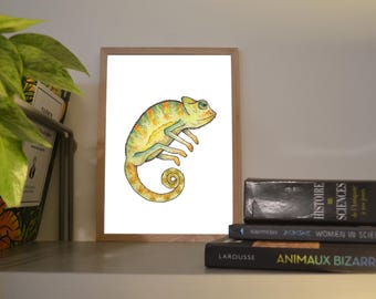 Print A6/A5 Chameleon, illustration made in colors with watercolor and ink, traditional art