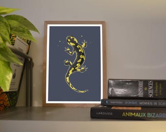 Print A6/A5 Spotted Salamander, illustration created in color using a graphics tablet