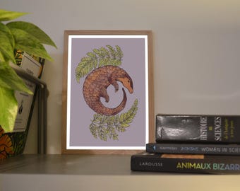 Print A6/A5 Pangolin, illustration made in colors with watercolor and ink, traditional art