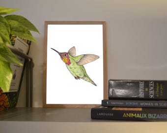 Print A6/A5 Hummingbird, illustration made in colors with watercolor and ink, traditional art
