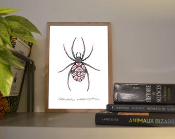 Print A6/A5 European Black Widow, illustration done in colors with watercolor and ink, traditional art