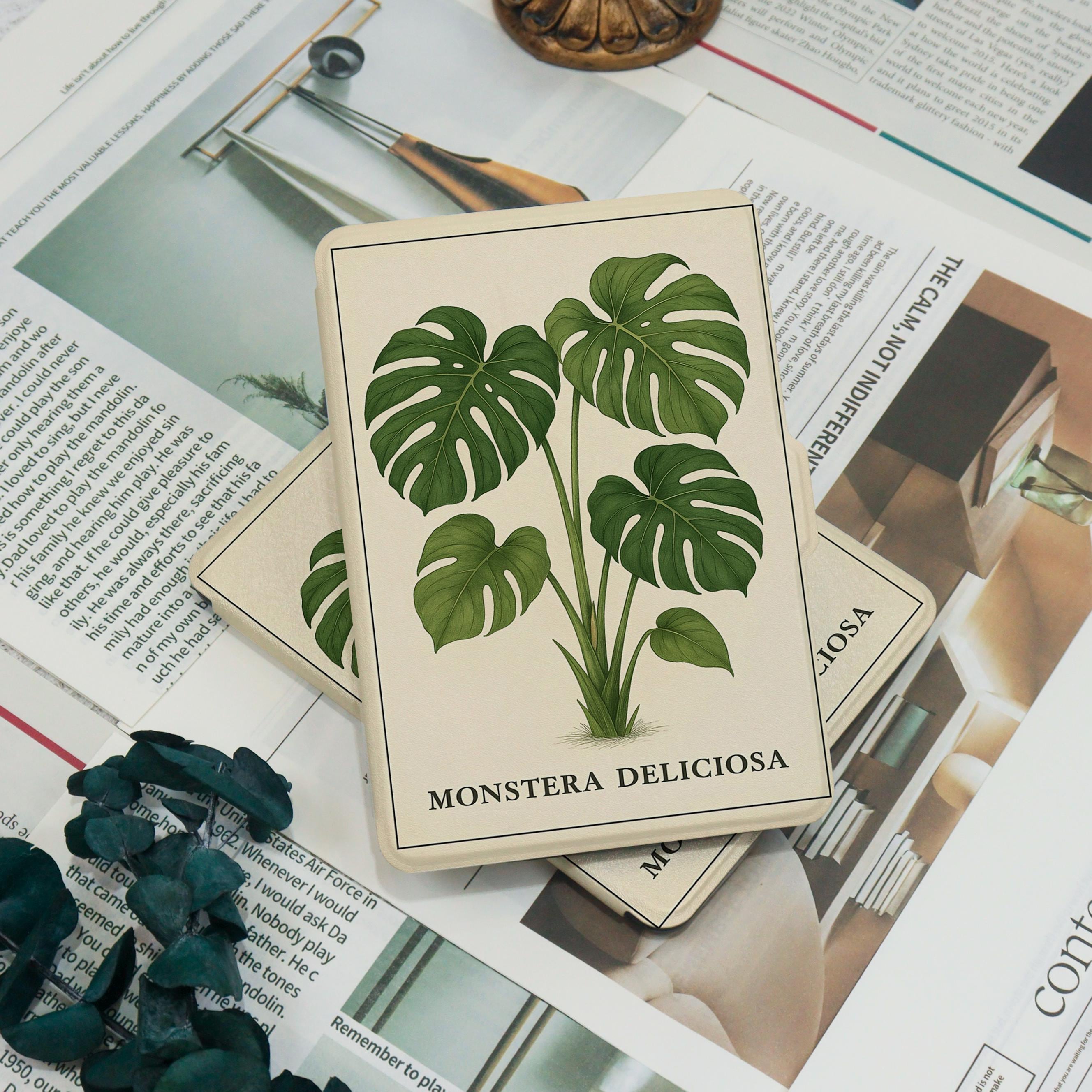 indoor vine plants trellis Palmella