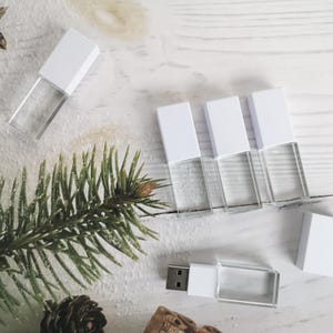 May include: Five white USB flash drives with clear plastic cases on a white wooden surface. A small pine branch and a pine cone are in the lower left corner of the image.