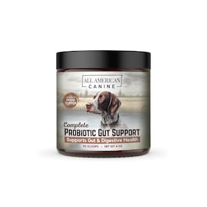 Probiotic Gut Support - Digestive Gut Health, Boosts Immune System Helps Prevent Digestive Diarrhea, Constipation & Inflammatory 90 Serving