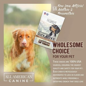 Duck Necks Natural Single Ingredient Chewy Digestible Low-Fat Dehydrated Dog Treats for Training, Rewarding, Teeth Cleaning image 6