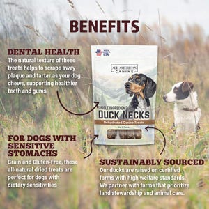 Duck Necks Natural Single Ingredient Chewy Digestible Low-Fat Dehydrated Dog Treats for Training, Rewarding, Teeth Cleaning image 5