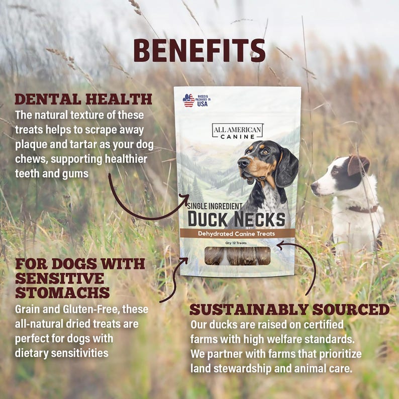 Duck Necks Natural Single Ingredient Chewy Digestible Low-Fat Dehydrated Dog Treats for Training, Rewarding, Teeth Cleaning image 5