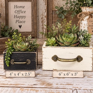 Può includere: Due fioriere in legno a forma di cassetto con finiture anticate, una nera e una bianca, dotate di maniglia in metallo color ottone. La fioriera nera misura 10,16 cm x 10,16 cm x 6,35 cm, quella bianca 15,24 cm x 15,24 cm x 7,62 cm. Entrambe contengono piante succulente artificiali.
