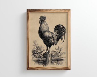 Rooster Sketch Print | Gottagecore Decor for Farmhouse Wall Art (Digital Download)