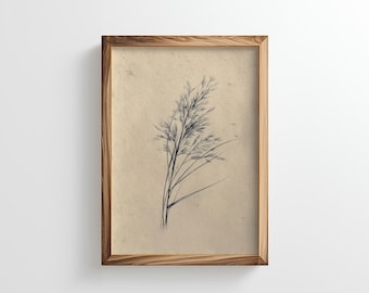 May include: A framed botanical print featuring a detailed black and white illustration of tall grass or reeds. The artwork is set against a beige background and encased in a natural wood frame, creating a rustic aesthetic.