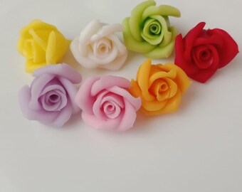 May include: A collection of seven miniature rose flowers in various colors: yellow, white, green, red, purple, pink, and orange. The roses are arranged on a white surface with blue decorative accents.
