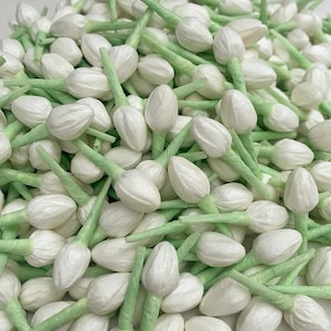 Peut inclure: Un grand tas de boutons de fleurs de jasmin en papier blanc avec des tiges vertes. Les boutons sont disposés de manière aléatoire et sont tous orientés dans la même direction.