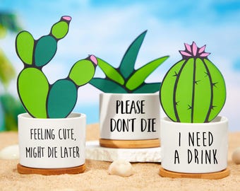 Macetas de cerámica personalizadas, macetas divertidas para suculentas, macetas para cactus, macetas de interior, regalos para parejas, regalos de inauguración de la casa, regalos para invitados, regalo para mamá