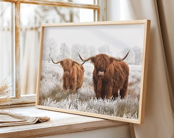 Stampa di mucca delle Highlands in inverno – Decorazione murale in stile rustico scozzese