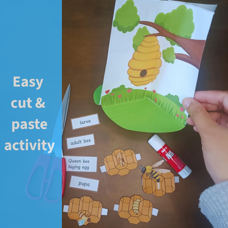 3D Bee Life Cycle Craft Printable Bienen Arbeitsblatt PDF Fr hling 3d-bee-life-cycle-craft-printable-bienen-arbeitsblatt-pdf-fr-hling