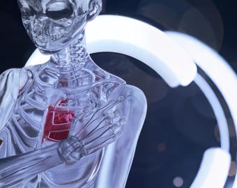 Transparent Skeleton 1/4 BJD Doll｜With/Without Heart, Ball-Jointed Doll｜Gothic Full Set Poseable Anatomy Clear Skull Dark Aesthetic Art Doll