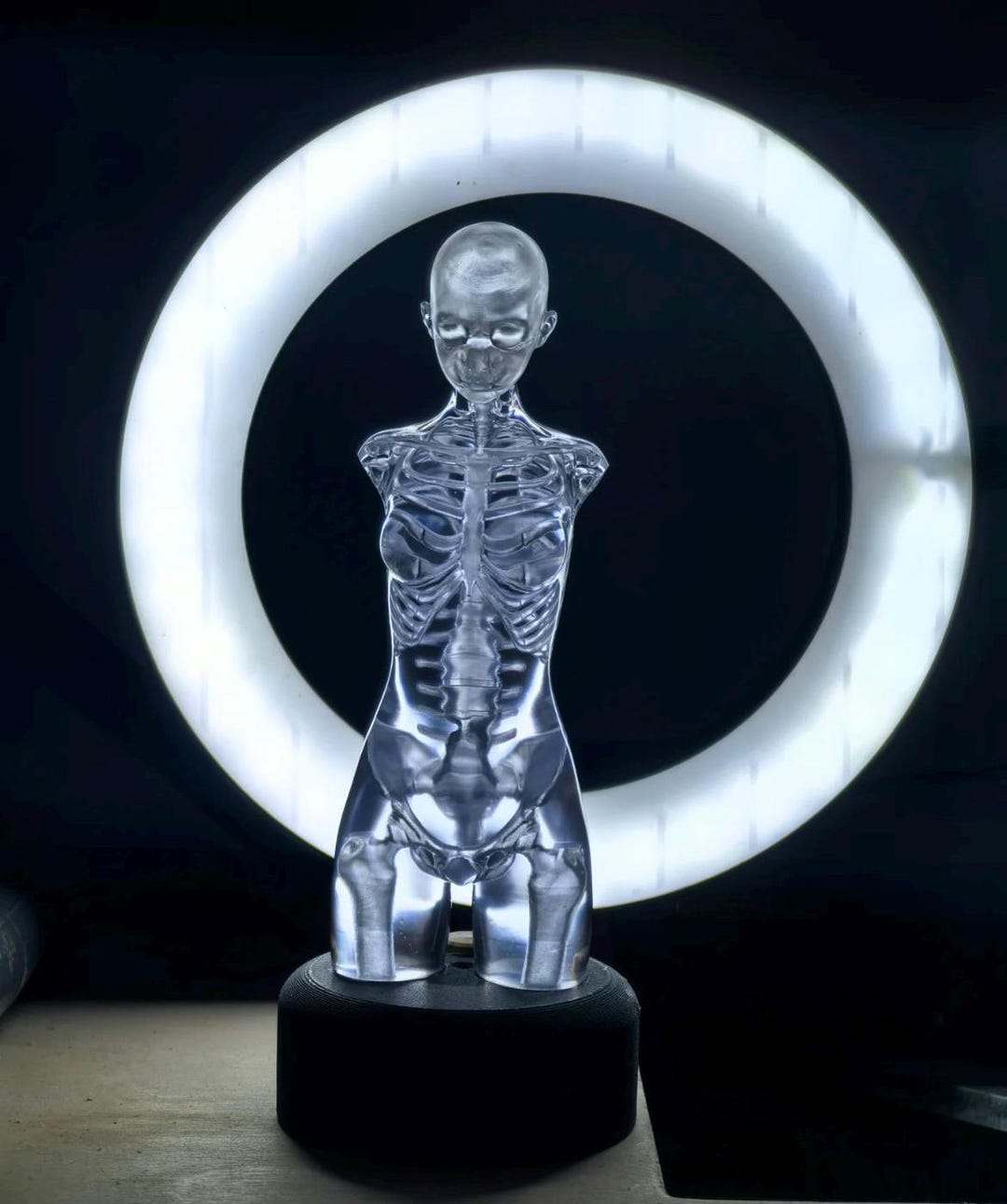 Life-Size Plastic Glow Skeleton Halloween Accessory