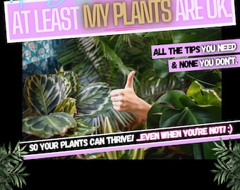 At Least My Plants Are Okay... A Guide for New Plant Moms To Grow Big Juicy Plants And Not Kill Them Dead