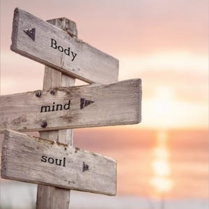 May include: A wooden signpost with three arrows pointing in different directions. The arrows are labeled "Body", "Mind", and "Soul". The signpost is set against a pink and orange sunset sky.