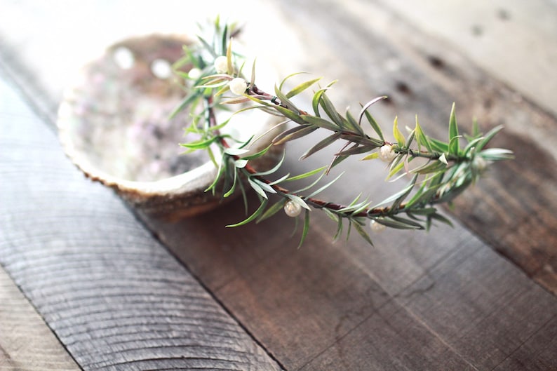 Rosemary and pearl crown, wedding hair wreath, leaf bridal headpiece, pearl tiara, rustic wedding crown, bridal headband by gardensofwhimsy image 4